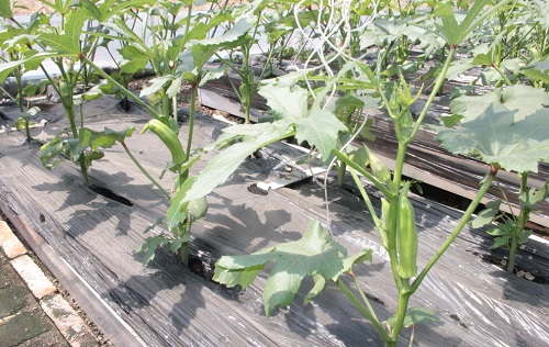 教你如何選購(gòu)?fù)寥鲤B(yǎng)分速測(cè)儀