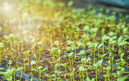 土壤重金屬檢測(cè)儀的檢測(cè)原理介紹