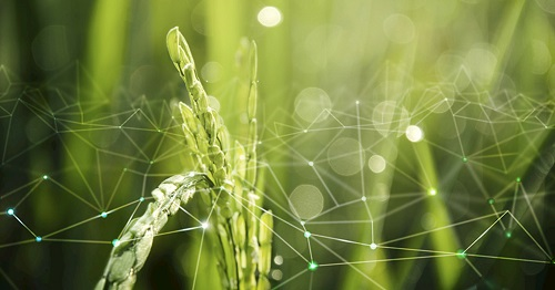 土壤溫度水分鹽分速測(cè)儀的創(chuàng)新點(diǎn)是什么？