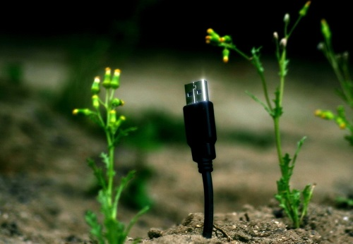 土壤養(yǎng)分速測儀選購方法及注意事項