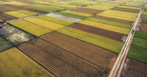 土壤養(yǎng)分速測儀：快速測定土壤養(yǎng)分，塑造優(yōu)良土壤環(huán)境