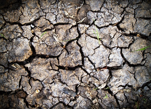 土壤鹽分含量數(shù)據(jù)如何獲?。客寥利}分測定儀運用科學技術獲取