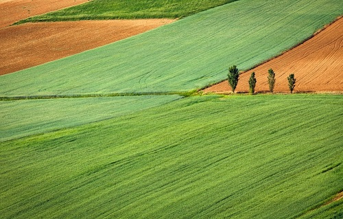 【LD-GT2】高智能土壤養(yǎng)分檢測儀的四大注意事項