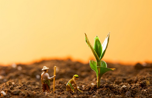 肥料養(yǎng)分速測儀報價高低受什么因素影響（肥料養(yǎng)分速測儀報價產(chǎn)品概述）