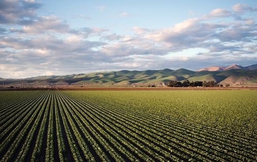 用土壤鹽分速測儀檢測到土壤鹽漬化后如何改良