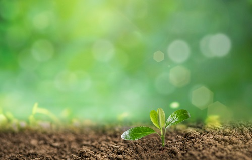 便攜式土壤重金屬快速檢測(cè)儀品牌有哪些