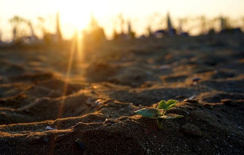 土壤氮磷鉀檢測(cè)儀提醒您：別再弄錯(cuò)了！氮磷鉀什么時(shí)候用最合適?