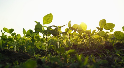 土壤溫度計(jì)：測(cè)量土壤溫度的儀器