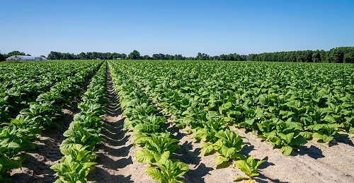 體積小巧美觀便于攜帶的土壤水分測(cè)定儀具有哪些性能優(yōu)勢(shì)