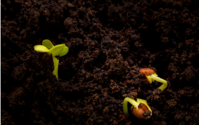 土壤養(yǎng)分檢測儀有什么優(yōu)勢?土壤養(yǎng)分檢測儀的應(yīng)用對(duì)農(nóng)業(yè)生產(chǎn)的好處