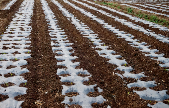 土壤（含水率）水分測定儀在使用時(shí)注意事項(xiàng)有哪些