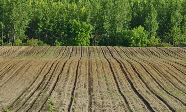 土壤氧化還原電位儀的儀器概述，土壤氧化還原電位儀選購(gòu)指南
