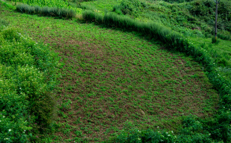 專業(yè)指南，如何正確選擇土壤氧化還原電位儀？