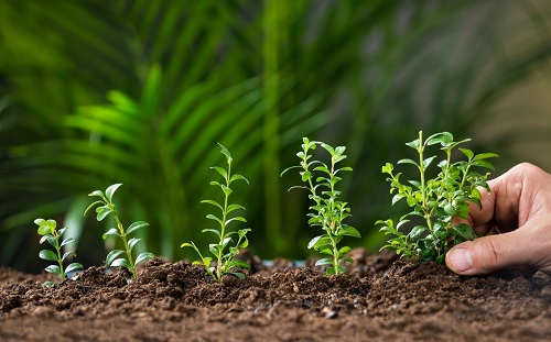 土壤肥料養(yǎng)分檢測(cè)儀為何“替代”實(shí)驗(yàn)室檢測(cè)方式？