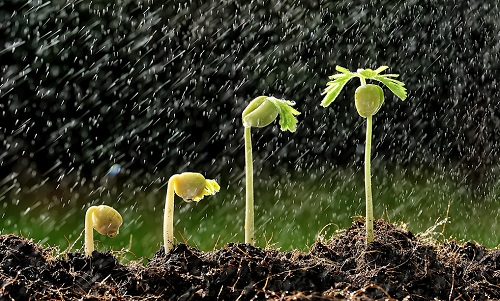 常用土壤水分測量方法詳細(xì)介紹