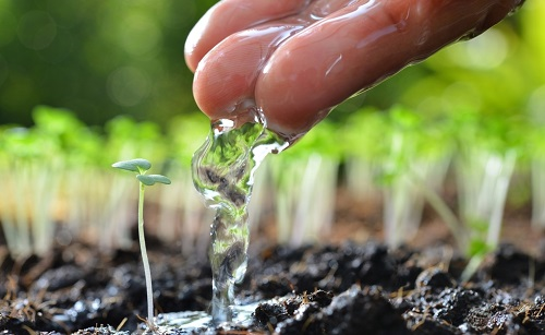 LD土壤水分快速檢測儀，實(shí)現(xiàn)農(nóng)業(yè)科學(xué)灌溉