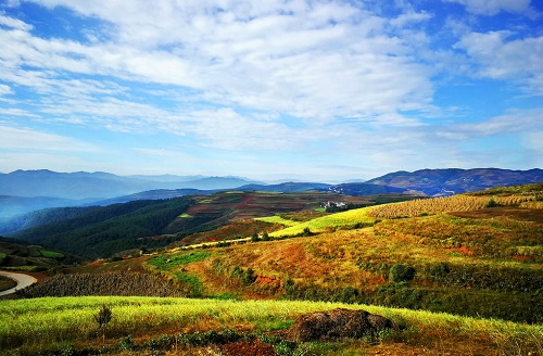 土壤養(yǎng)分測定儀-土壤養(yǎng)分,pH在線監(jiān)測指導(dǎo)減肥增效保生態(tài)