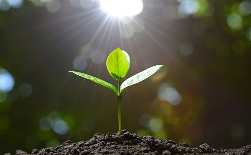 土壤肥料養(yǎng)分檢測儀靠譜嗎？選購?fù)寥鲤B(yǎng)分檢測儀的4個建議