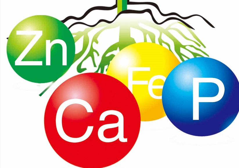 測土配方施肥成效顯著，最大的功勞應(yīng)該歸功于土壤養(yǎng)分分析儀