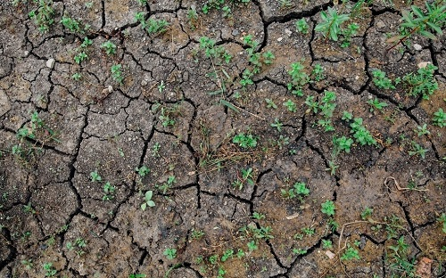 購買測土配方施肥儀前需了解什么？測土配方施肥儀檢查的方法