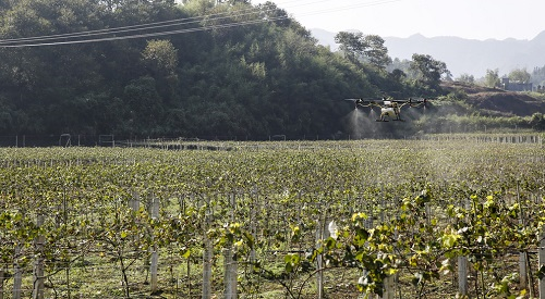 土壤肥料養(yǎng)分檢測儀穩(wěn)定性和測試速度如何