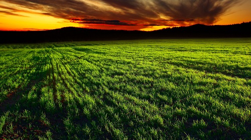 如何選擇適用土壤水分檢測儀？