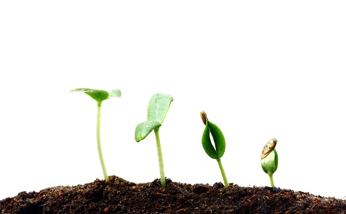 測土配方施肥儀：增加土壤使用年限