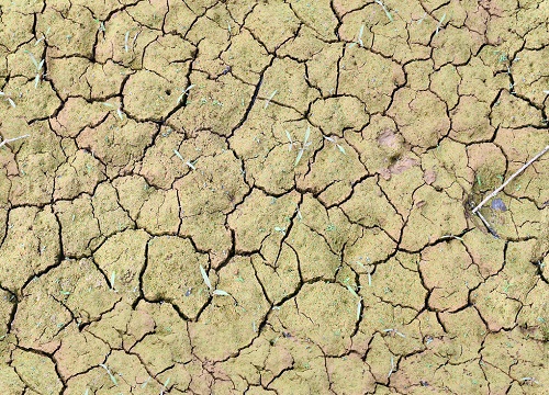 土壤墑情記錄儀：透視土壤及時發(fā)現(xiàn)植物缺水