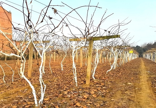 測土配方施肥儀助力農(nóng)業(yè)測土配方施肥技術(shù)推廣