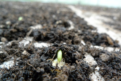 土壤養(yǎng)分速測儀為合理的開發(fā)和利用土壤提供科學(xué)依據(jù)