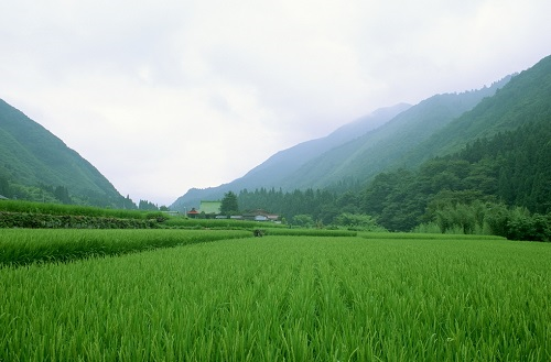 測土配方施肥儀：科學(xué)測土施肥讓土壤更肥沃