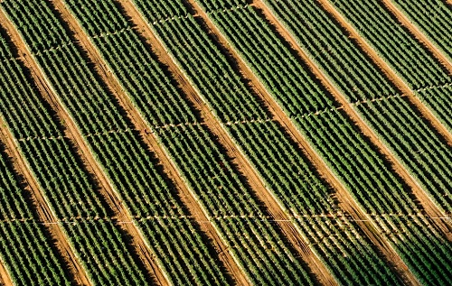 便攜式土壤水分溫度速測(cè)儀輕而易舉就可以確定灌溉時(shí)間和灌溉量
