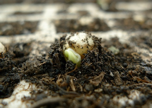 為什么要推測土儀？TA的這些優(yōu)勢真的是太香了