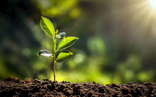 土壤養(yǎng)分測試儀打開土壤養(yǎng)分秘密的大門