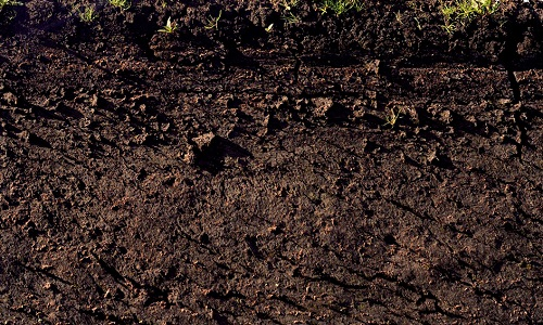 土壤肥料測試儀為廣大農(nóng)民朋友解決了煩惱