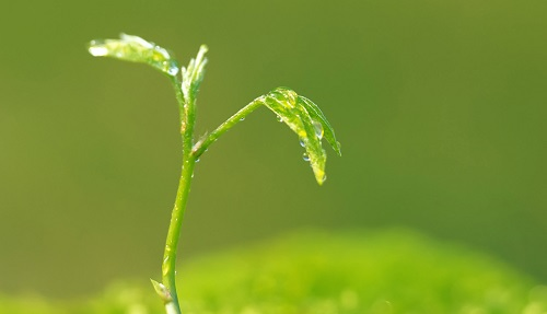 土壤水分溫度測定儀的正確操作流程