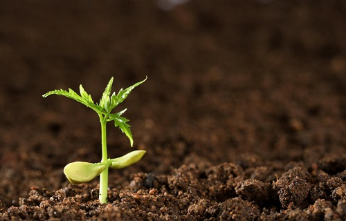 土壤墑情的概念到底是什么概念？土壤墑情的測定方法