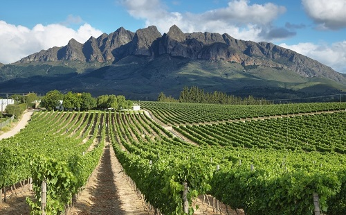 指導(dǎo)施肥，如何選擇一臺較為合適的土壤肥料養(yǎng)分速測儀？