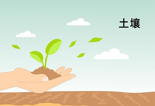 土壤墑情監(jiān)測系統(tǒng)在精細農(nóng)業(yè)發(fā)展中扮演著什么角色？