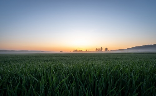 土壤水分檢測(cè)儀為小麥精準(zhǔn)灌溉提供專業(yè)指導(dǎo)，針對(duì)性地進(jìn)行土壤治理