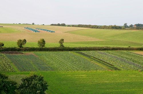 什么樣的土壤環(huán)境適合植物生長？土壤緊實(shí)度測(cè)定儀讓我們更了解植物需求