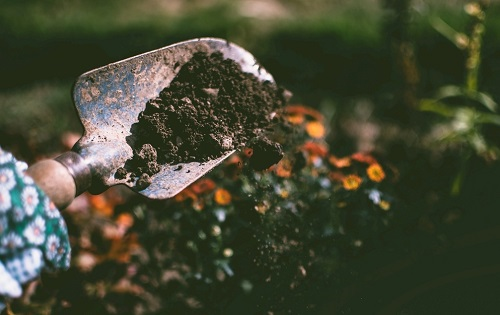 使用土壤墑情速測(cè)儀管理墑情，土地變成“致富田”