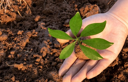 土壤團(tuán)粒結(jié)構(gòu)分析儀具體是測(cè)什么的？（優(yōu)質(zhì)土壤的鑒定）