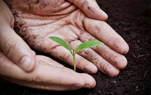 土壤緊實(shí)度測(cè)定儀不同于其它同類產(chǎn)品，土壤緊實(shí)度測(cè)定儀的詳情介紹