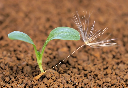 土壤緊實(shí)度儀是什么，它的準(zhǔn)確性如何來保證