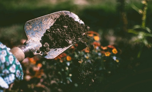 土壤肥料養(yǎng)分速測儀研究土壤養(yǎng)分檢測和檢測力度