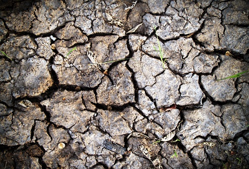 便攜式土壤養(yǎng)分速測儀介紹(有什么用途)