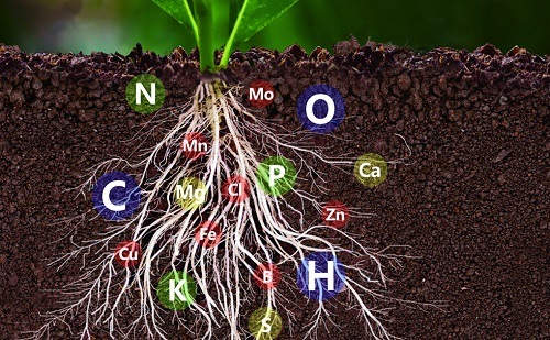 管式土壤墑情監(jiān)測儀介紹（管式土壤墑情監(jiān)測儀重要性）