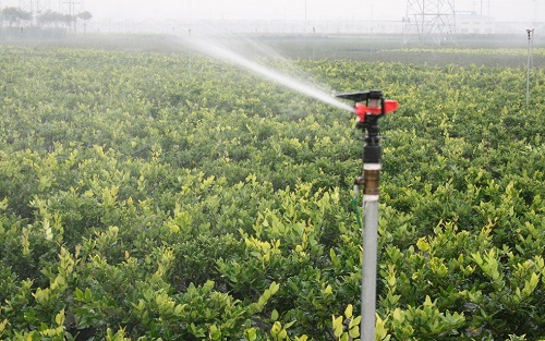 土壤肥料速測儀在土壤速測中的優(yōu)勢作用