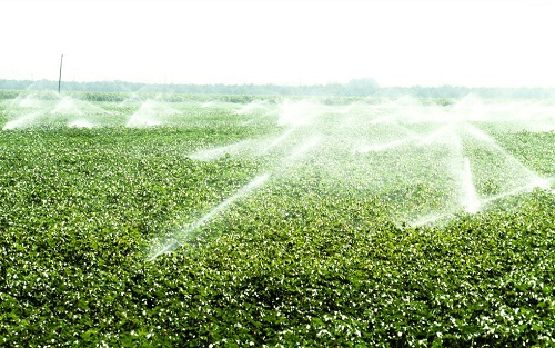 土壤墑情監(jiān)測系統(tǒng)是如何收集墑情信息呢？土壤墑情監(jiān)測系統(tǒng)的測量原理